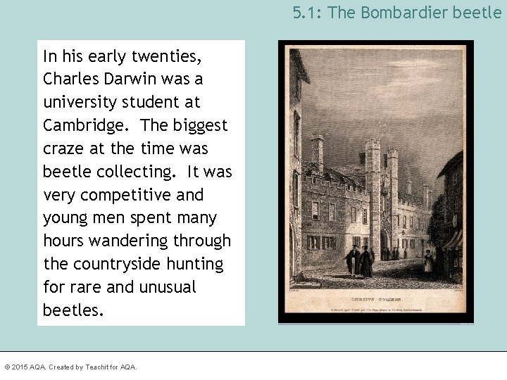 5. 1: The Bombardier beetle In his early twenties, Charles Darwin was a university