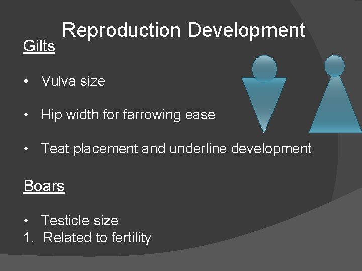 Gilts Reproduction Development • Vulva size • Hip width for farrowing ease • Teat