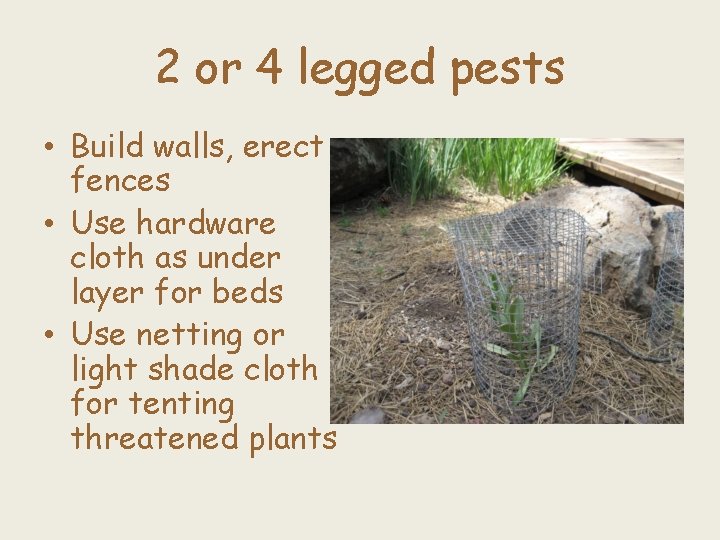 2 or 4 legged pests • Build walls, erect fences • Use hardware cloth