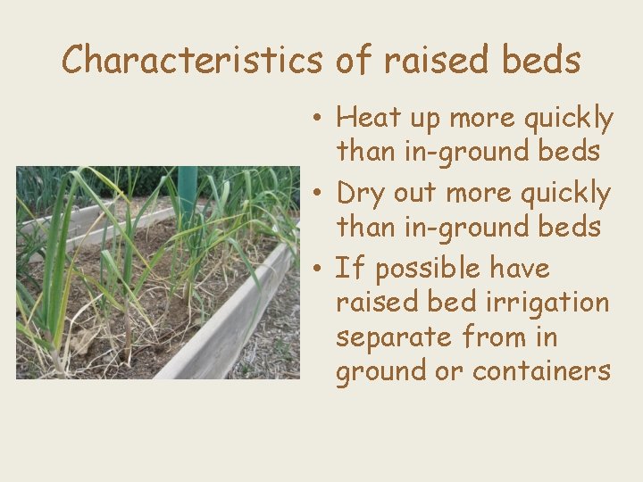 Characteristics of raised beds • Heat up more quickly than in-ground beds • Dry