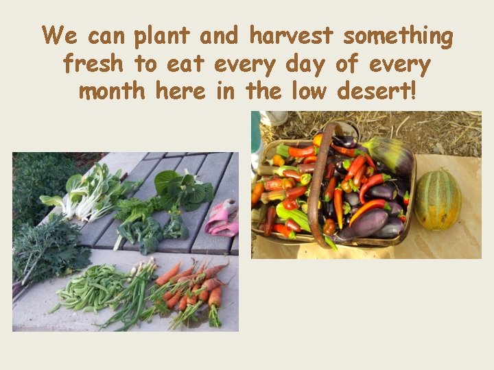 We can plant and harvest something fresh to eat every day of every month