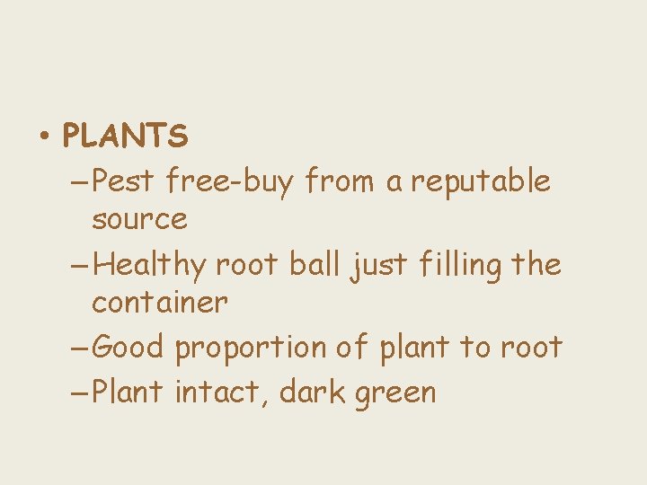  • PLANTS – Pest free-buy from a reputable source – Healthy root ball