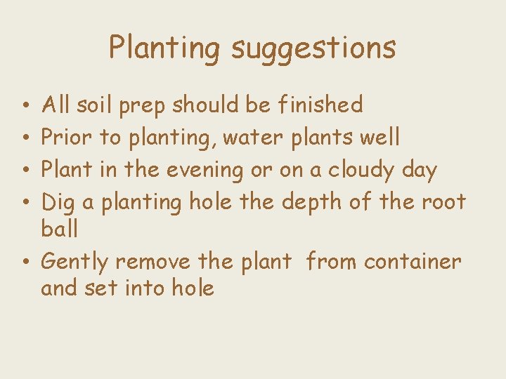 Planting suggestions All soil prep should be finished Prior to planting, water plants well