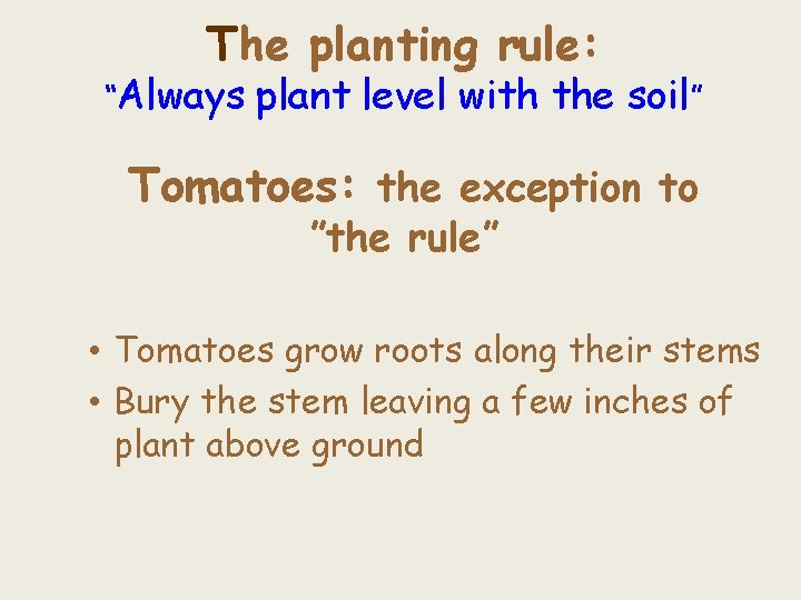 The planting rule: “Always plant level with the soil” Tomatoes: the exception to ”the