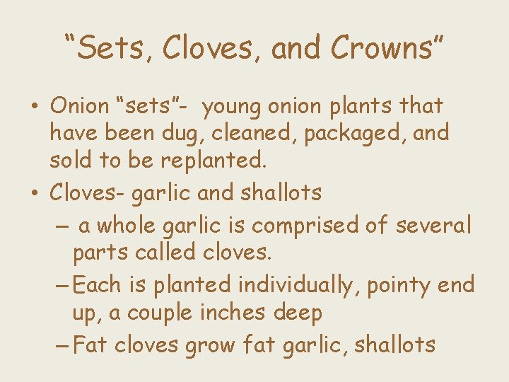 “Sets, Cloves, and Crowns” • Onion “sets”- young onion plants that have been dug,