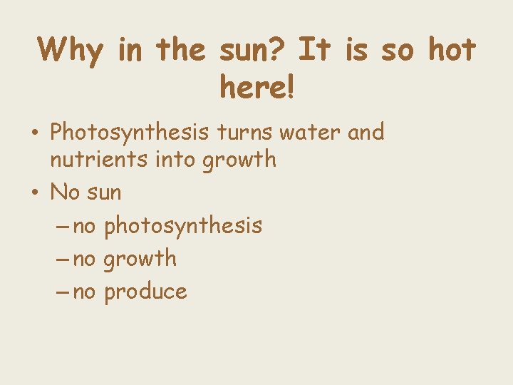 Why in the sun? It is so hot here! • Photosynthesis turns water and