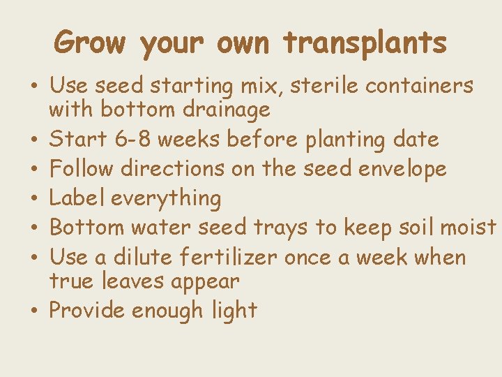 Grow your own transplants • Use seed starting mix, sterile containers with bottom drainage