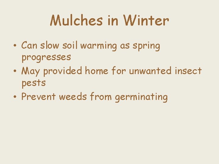 Mulches in Winter • Can slow soil warming as spring progresses • May provided