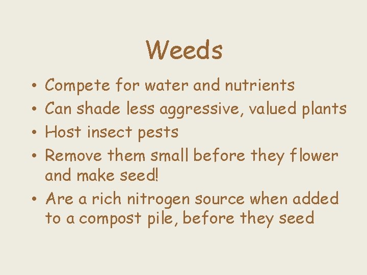 Weeds Compete for water and nutrients Can shade less aggressive, valued plants Host insect