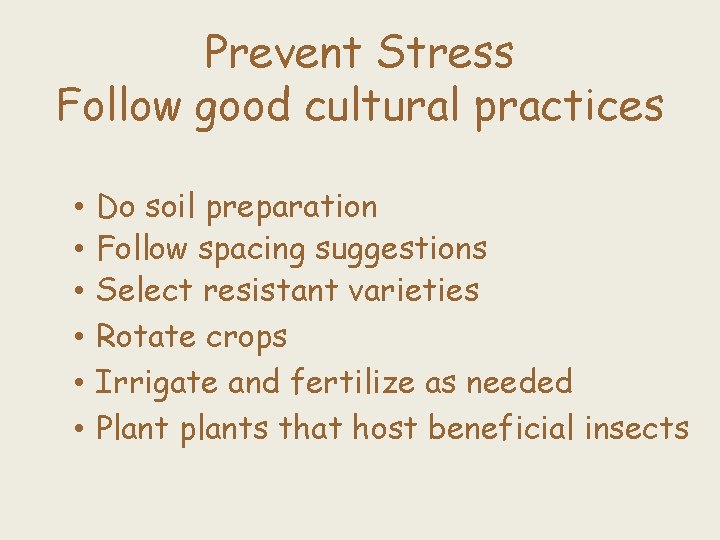 Prevent Stress Follow good cultural practices • • • Do soil preparation Follow spacing