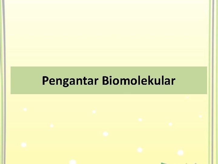 Pengantar Biomolekular 