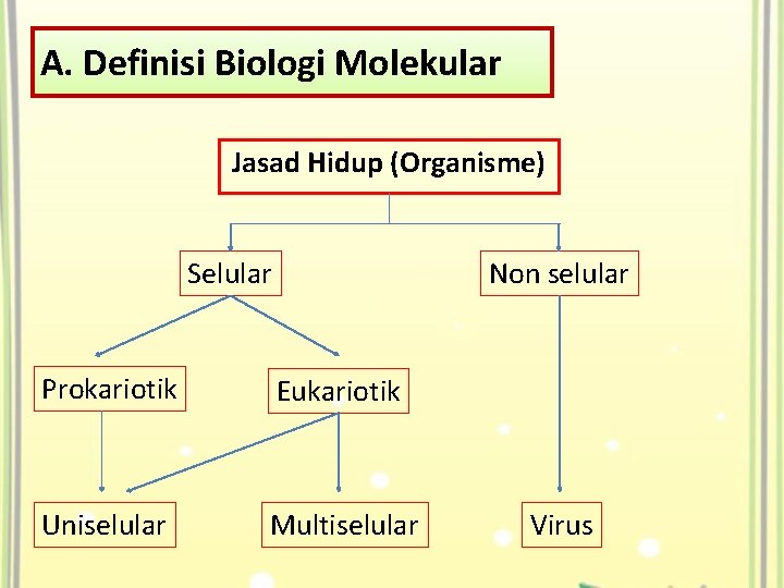 A. Definisi Biologi Molekular Jasad Hidup (Organisme) Selular Non selular Prokariotik Eukariotik Uniselular Multiselular
