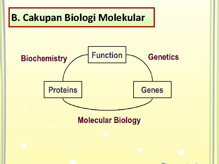 B. Cakupan Biologi Molekular 