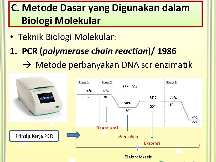 C. Metode Dasar yang Digunakan dalam Biologi Molekular • Teknik Biologi Molekular: 1. PCR