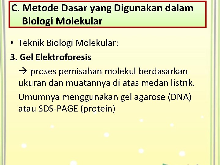 C. Metode Dasar yang Digunakan dalam Biologi Molekular • Teknik Biologi Molekular: 3. Gel