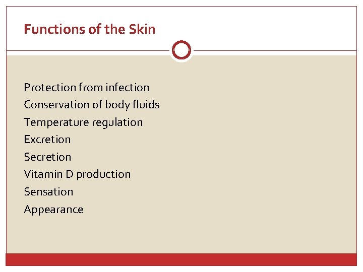 Functions of the Skin Protection from infection Conservation of body fluids Temperature regulation Excretion