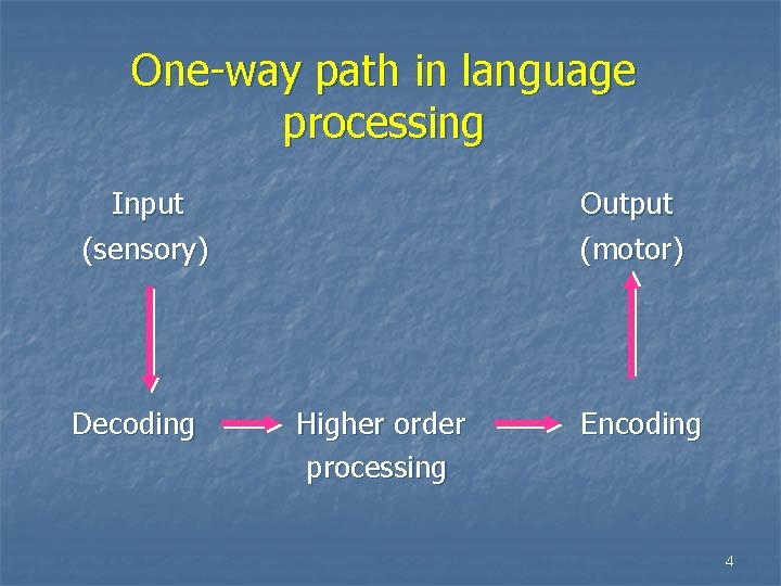 One-way path in language processing Input (sensory) Decoding Output (motor) Higher order processing Encoding