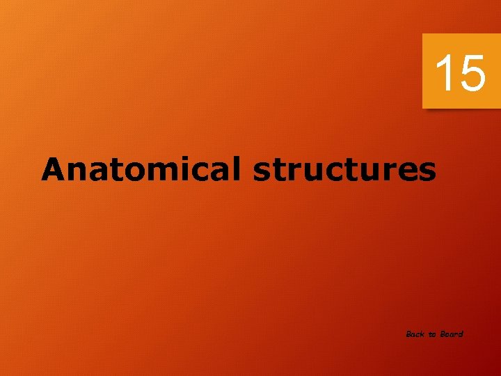 15 Anatomical structures Back to Board 