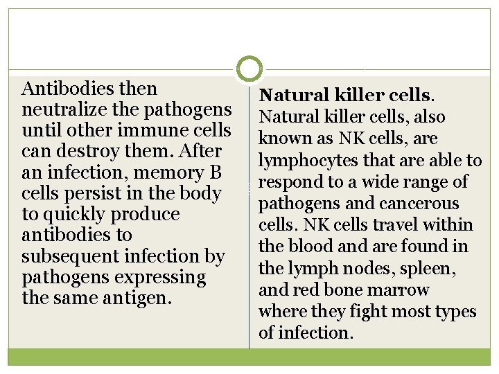 Antibodies then neutralize the pathogens until other immune cells can destroy them. After an