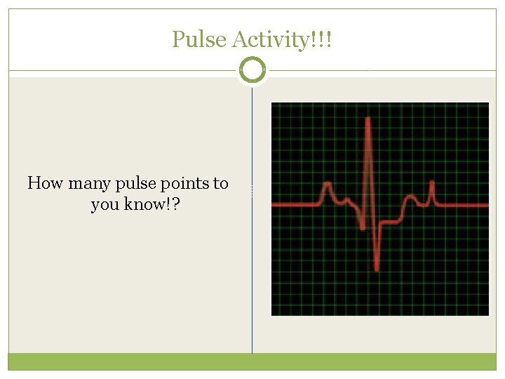 Pulse Activity!!! How many pulse points to you know!? 