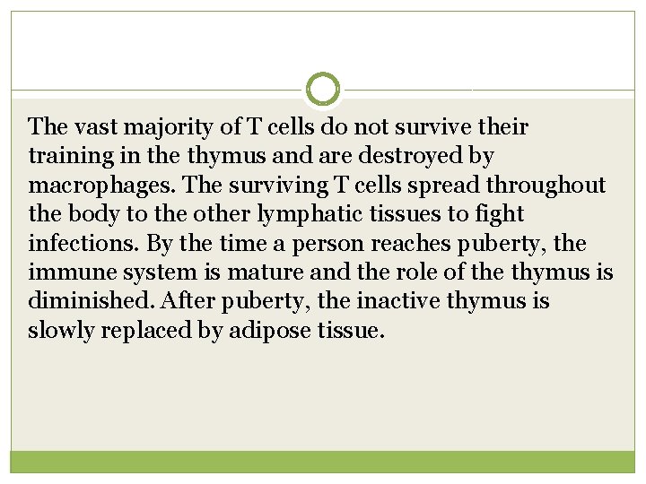 The vast majority of T cells do not survive their training in the thymus
