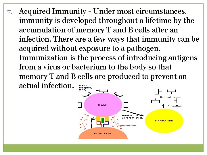 7. Acquired Immunity - Under most circumstances, immunity is developed throughout a lifetime by