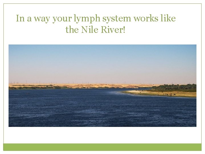 In a way your lymph system works like the Nile River! 