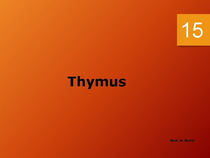 15 Thymus Back to Board 