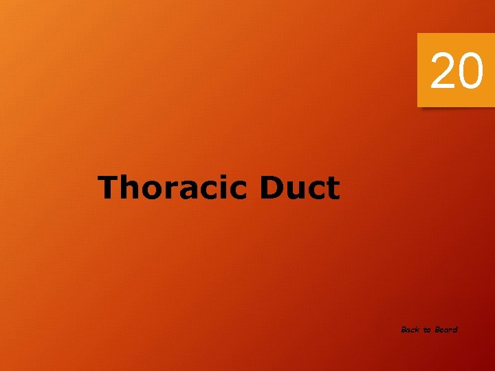 20 Thoracic Duct Back to Board 