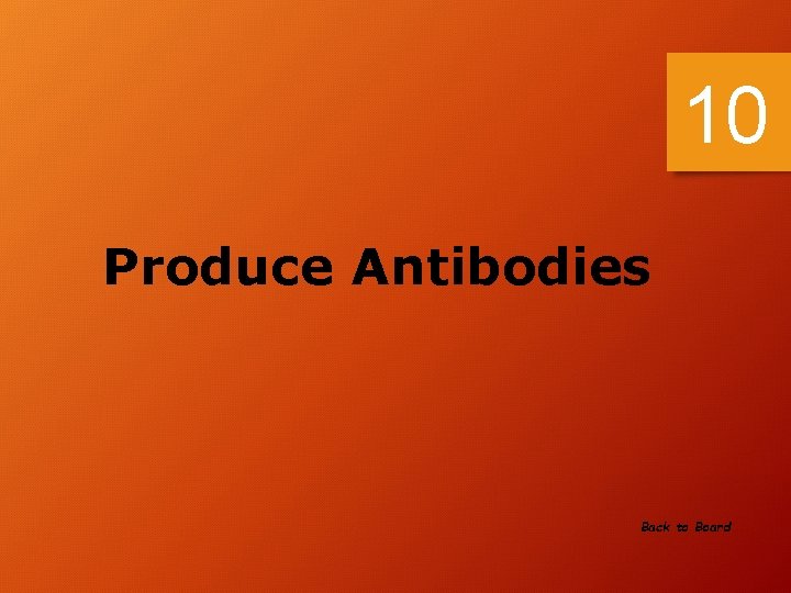 10 Produce Antibodies Back to Board 