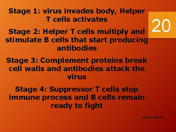 Stage 1: virus invades body, Helper T cells activates Stage 2: Helper T cells