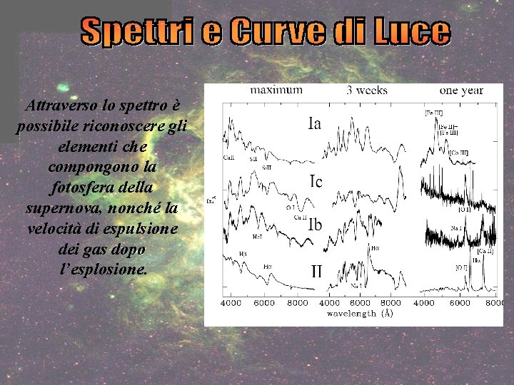 Attraverso lo spettro è possibile riconoscere gli elementi che compongono la fotosfera della supernova,