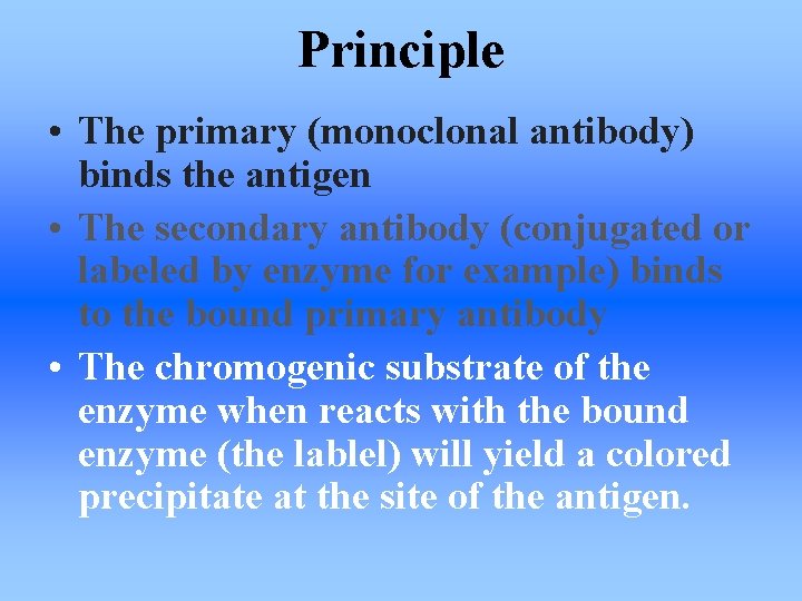 Principle • The primary (monoclonal antibody) binds the antigen • The secondary antibody (conjugated