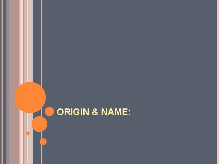 ORIGIN & NAME: 