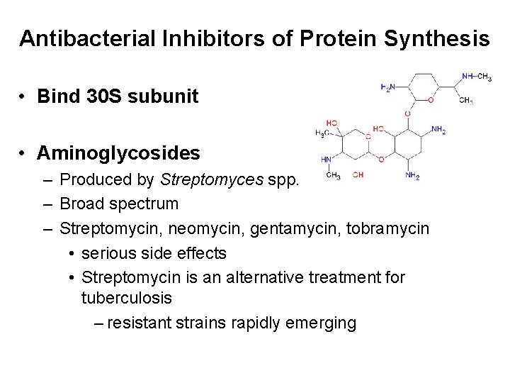 Antibacterial Inhibitors of Protein Synthesis • Bind 30 S subunit • Aminoglycosides – Produced