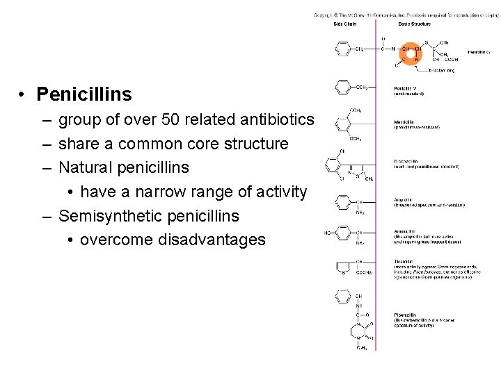  • Penicillins – group of over 50 related antibiotics – share a common