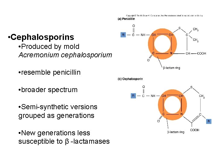  • Cephalosporins • Produced by mold Acremonium cephalosporium • resemble penicillin • broader