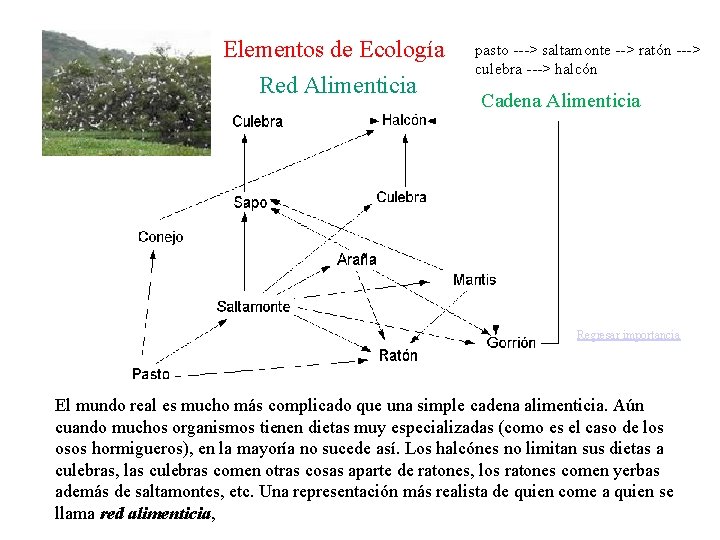 Elementos de Ecología Red Alimenticia pasto ---> saltamonte --> ratón ---> culebra ---> halcón