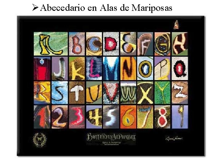 ØAbecedario en Alas de Mariposas 