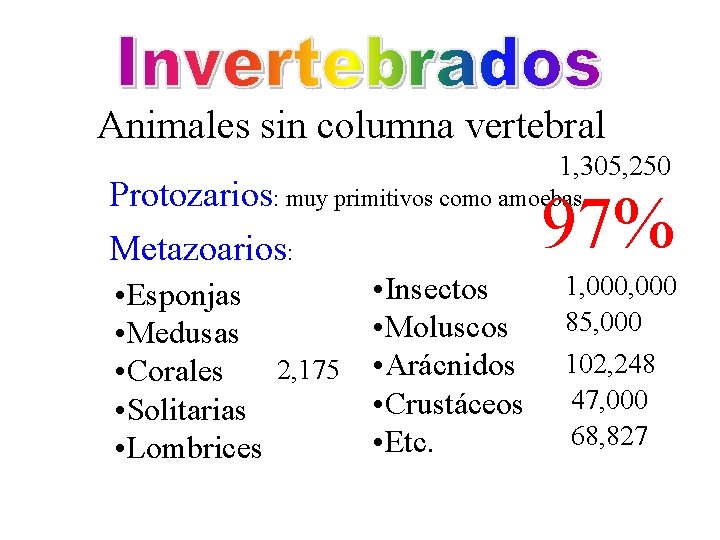 Animales sin columna vertebral 1, 305, 250 Protozarios: muy primitivos como amoebas Metazoarios: 97%