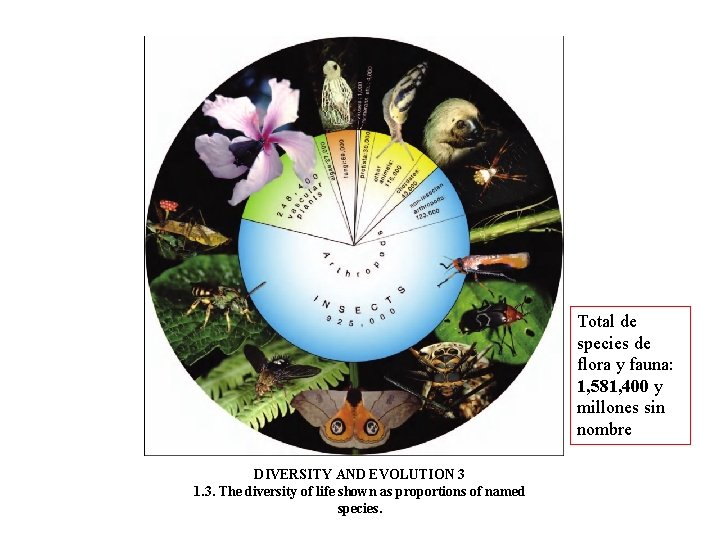 Total de species de flora y fauna: 1, 581, 400 y millones sin nombre