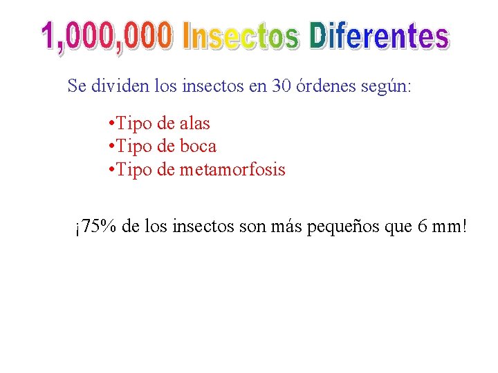 Se dividen los insectos en 30 órdenes según: • Tipo de alas • Tipo
