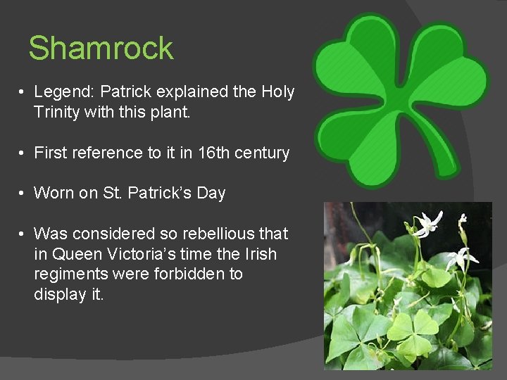 Shamrock • Legend: Patrick explained the Holy Trinity with this plant. • First reference