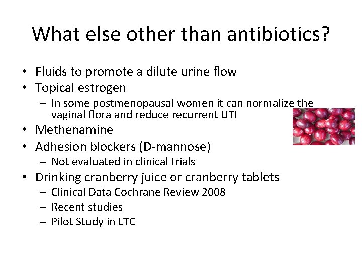 What else other than antibiotics? • Fluids to promote a dilute urine flow •
