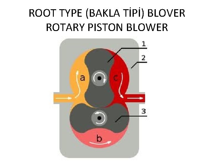 ROOT TYPE (BAKLA TİPİ) BLOVER ROTARY PISTON BLOWER 