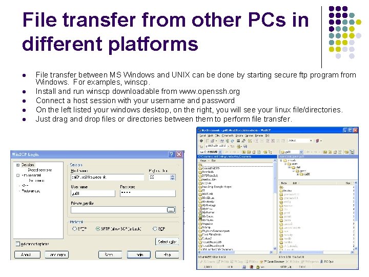 File transfer from other PCs in different platforms l l l File transfer between