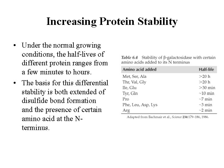Increasing Protein Stability • Under the normal growing conditions, the half-lives of different protein