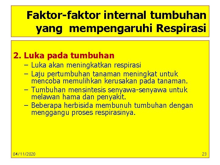 Faktor-faktor internal tumbuhan yang mempengaruhi Respirasi 2. Luka pada tumbuhan – Luka akan meningkatkan