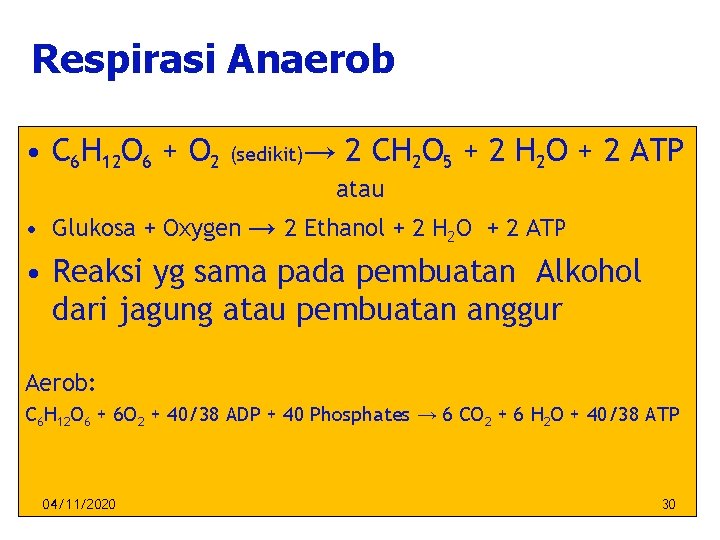 Respirasi Anaerob • C 6 H 12 O 6 + O 2 (sedikit)→ 2