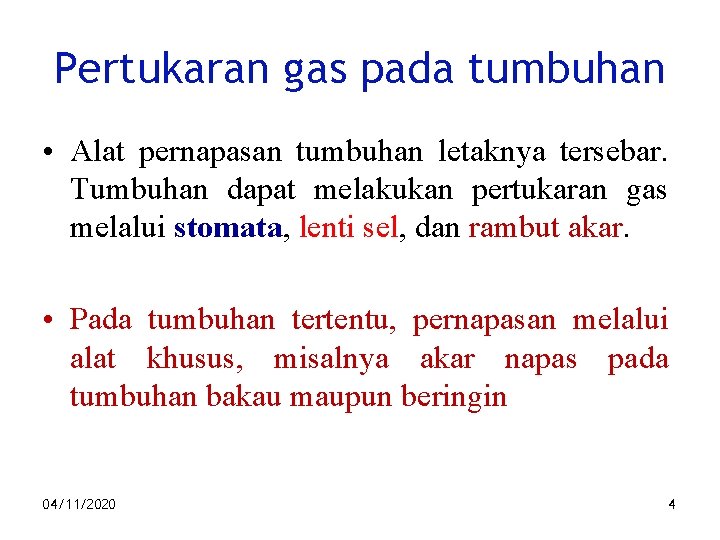 Pertukaran gas pada tumbuhan • Alat pernapasan tumbuhan letaknya tersebar. Tumbuhan dapat melakukan pertukaran
